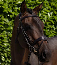 Load image into Gallery viewer, Artana Snaffle Bridle - SALE