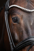 Load image into Gallery viewer, A close-up of a brown horse wearing a black leather bridle with a decorative headpiece of clear rhinestones.