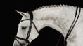 Load image into Gallery viewer, MARTINGALE No. 72 | BLACK