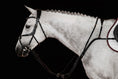 Load image into Gallery viewer, Breastplate No. 70 | Black | 3-Point