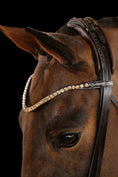 Load image into Gallery viewer, A close-up of a brown horse wearing a dark leather bridle with a decorative headpiece featuring a row of clear rhinestones and a line of white faux pearls, set against a solid black background.