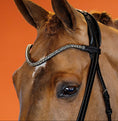 Load image into Gallery viewer, BROWBAND 2E | BLACK | BLACK DIAMOND, 8 MM