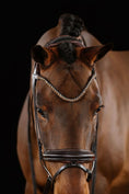 Load image into Gallery viewer, Close-up of a brown horse wearing a bridle against a black background