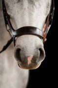 Load image into Gallery viewer, Close-up of a horse's muzzle wearing a dark brown leather bridle against a black background.