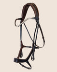Load image into Gallery viewer, Brown horse bridle with decorative elements on a beige background
