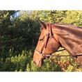 Load image into Gallery viewer, ThinLine EZ Harmony Bitless Noseband Bridle Converter