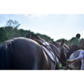 Load image into Gallery viewer, ThinLine Seat Maker for English Riders