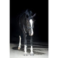 Load image into Gallery viewer, ThinLine EZ Harmony Bitless Noseband Bridle Converter