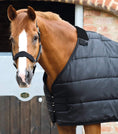 Load image into Gallery viewer, Description:100g Horse Rug Liner_Color:Black_Position:2