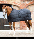 Load image into Gallery viewer, Description:100g Horse Rug Liner_Color:Black_Position:1