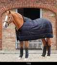 Load image into Gallery viewer, Description:100g Lucanta Rug Liner_Color:Black_Position:1