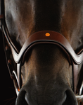 Load image into Gallery viewer, Close-up of a horse wearing a brown leather saddle
