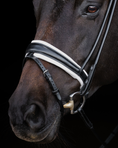 Load image into Gallery viewer, Close-up of a horse's head wearing a bridle on a black background

