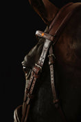 Load image into Gallery viewer, Close-up of a horse wearing a brown leather bridle against a dark background
