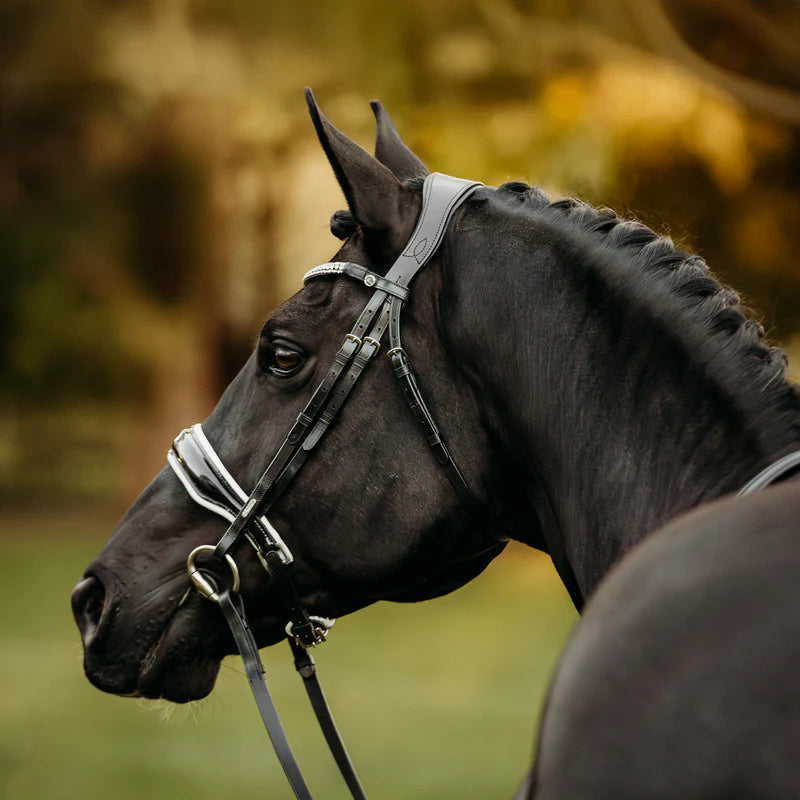 Lumiere Adeline Leather Snaffle Bridle (Cavesson)