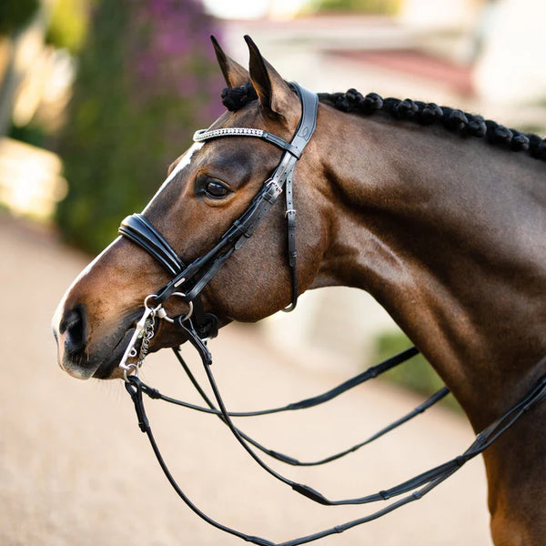 Lumiere Amie Luxury Double Bridle