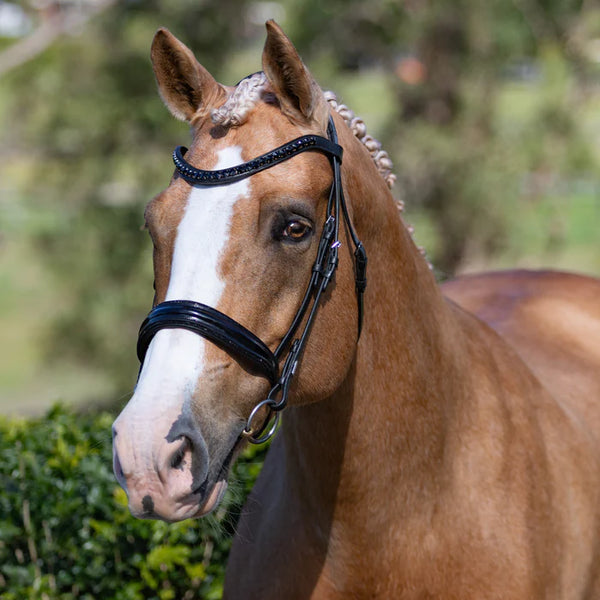 Lumiere Arcadia Snaffle Bridle (Cavesson)