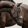 Lumiere Ariana Bridle (Hanoverian)
