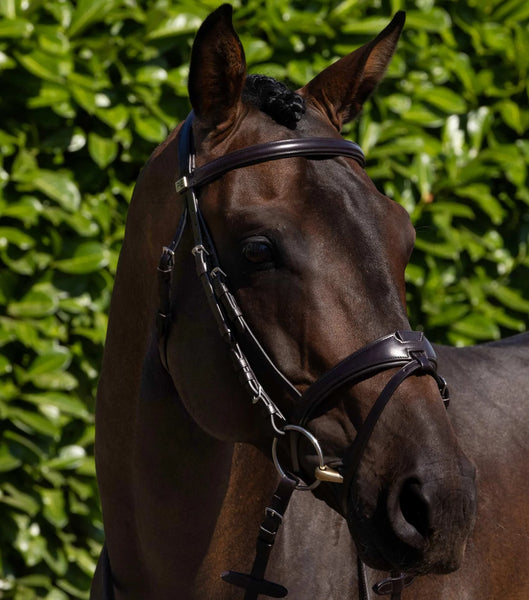 Artana Snaffle Bridle - SALE