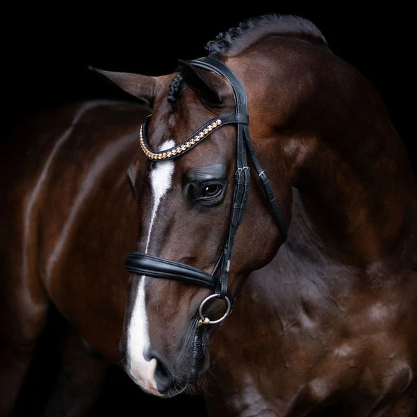 Lumiere Athens Snaffle Bridle