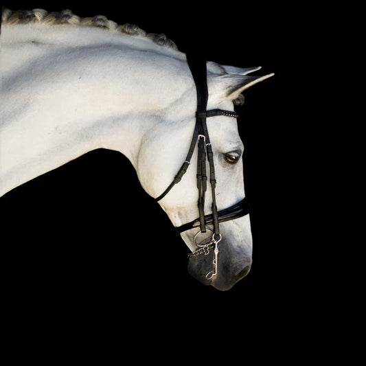 Lumiere Audrey Luxury Double Bridle