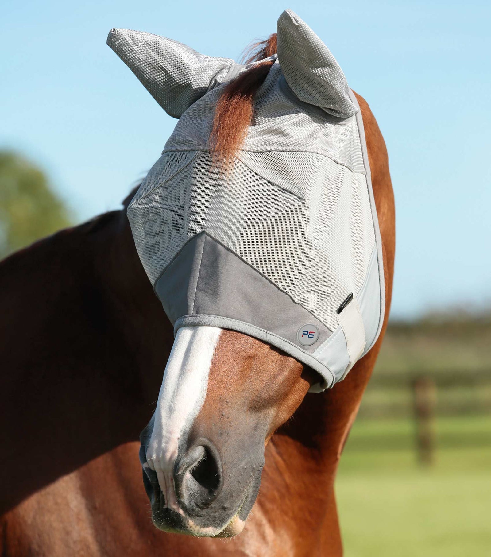 Buster Fly Mask Standard Plus w/Ears