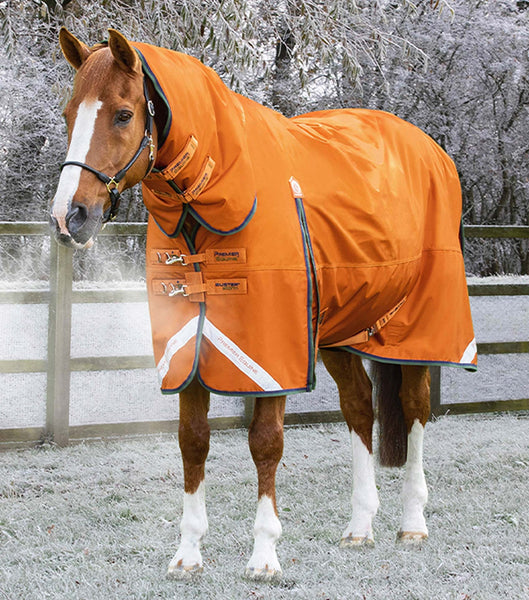 Buster Storm 400g Combo Turnout Rug with Classic Neck