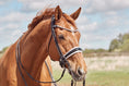 Load image into Gallery viewer, Finesse Cassidy New Crown Double Bridle Black/White - Silver - Lacquer- SALE
