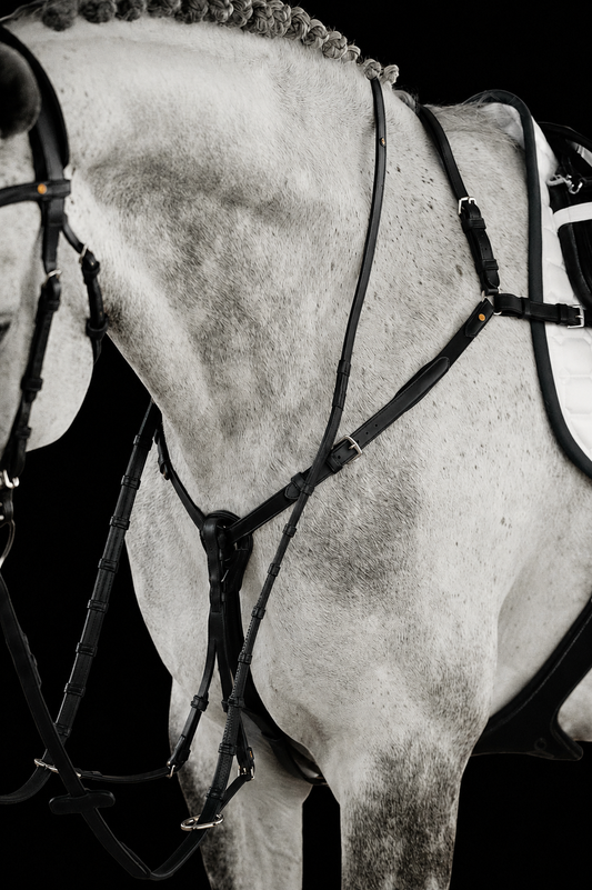 BREASTPLATE No. 71 | BLACK | 3-PUNKT
