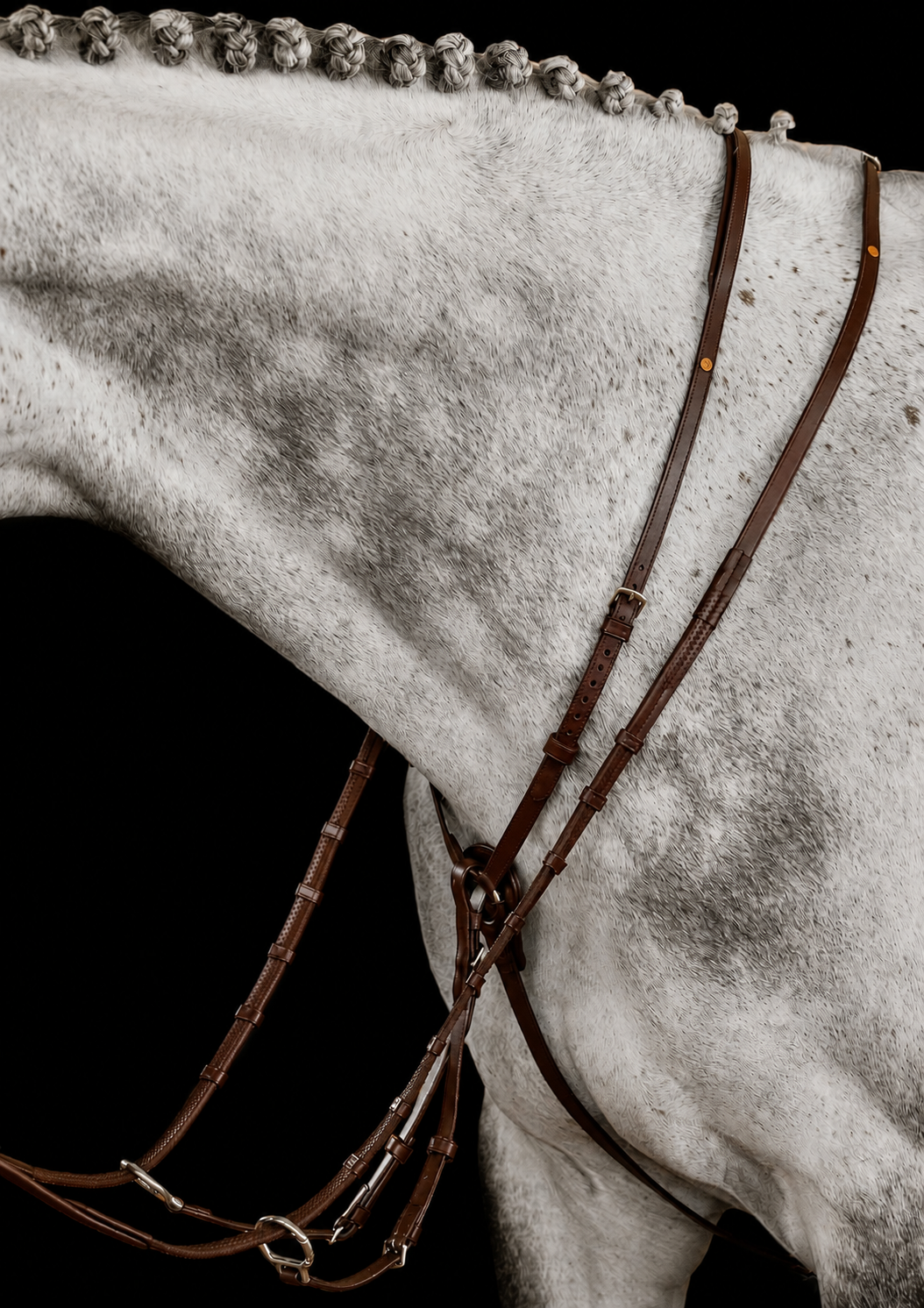 MARTINGALE No. 72 | BROWN