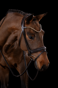 Load image into Gallery viewer, Brown horse wearing a bridle on a black background
