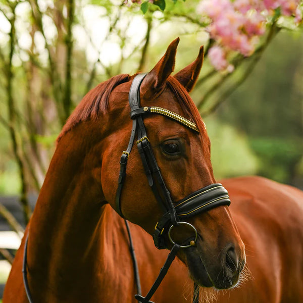 Lumiere Delta Snaffle Bridle (Cavesson)