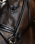 Load image into Gallery viewer, Close-up of a horse wearing a bridle with a dark background
