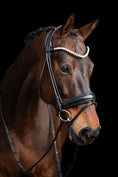 Load image into Gallery viewer, Brown horse wearing a bridle against a black background
