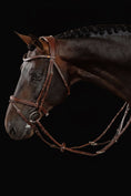 Load image into Gallery viewer, Horse wearing a bridle against a black background
