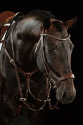 Load image into Gallery viewer, Horse wearing a bridle on a black background
