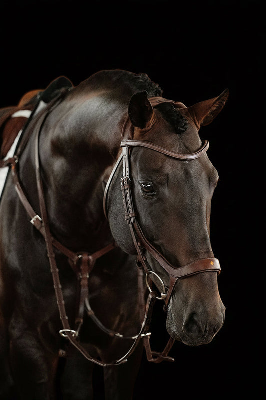Breastplate No. 71 | Brown | 3-Point