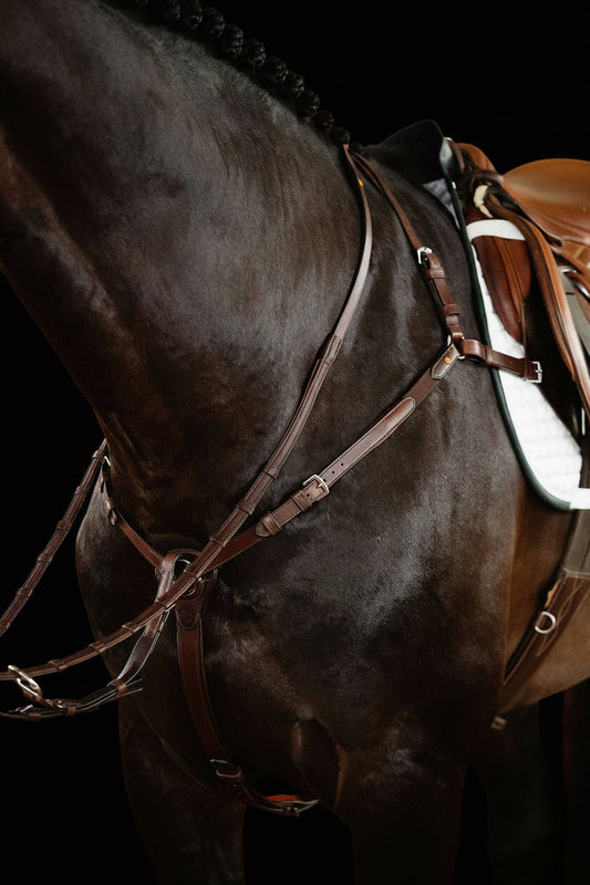 Breastplate No. 71 | Brown | 3-Point