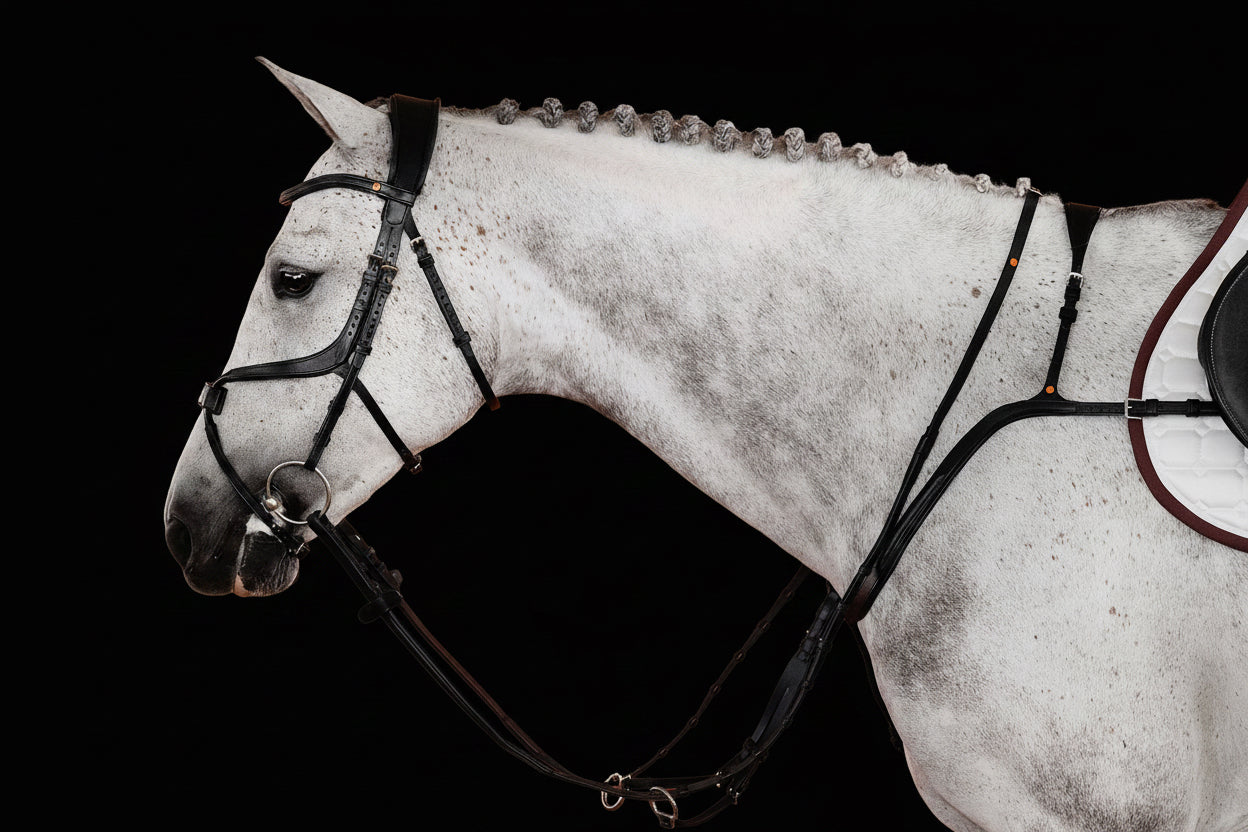 Breastplate No. 70 | Black | 3-Point