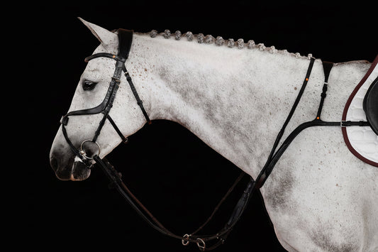 Breastplate No. 70 | Black | 3-Point