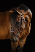 Load image into Gallery viewer, Brown horse with a bridle against a black background
