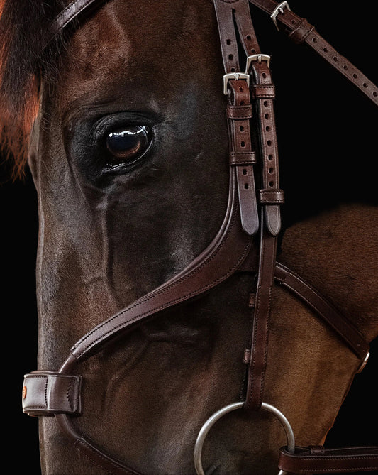 Close-up of a horse's face wearing a bridle against a black background