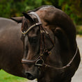 Load image into Gallery viewer, Lumiere Dallas Bridle
