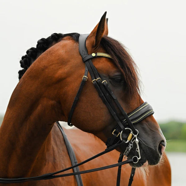 Lumiere Delta Double Bridle