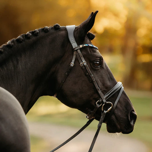 Lumiere Demi Snaffle Bridle