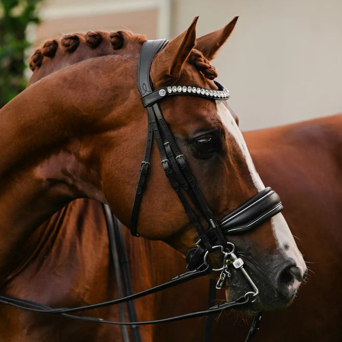 Lumiere Diva Double Bridle