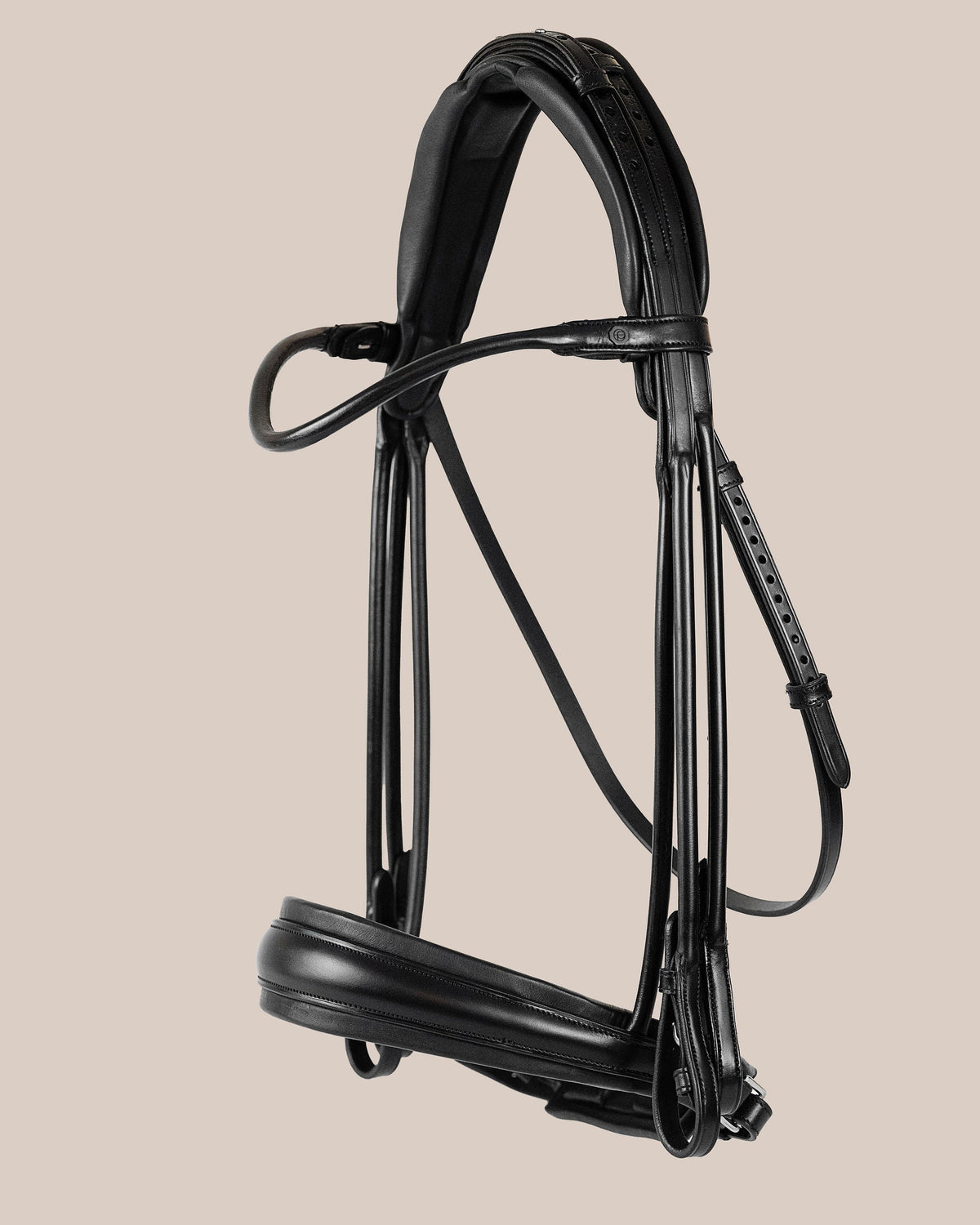 Black bridle on a beige background
