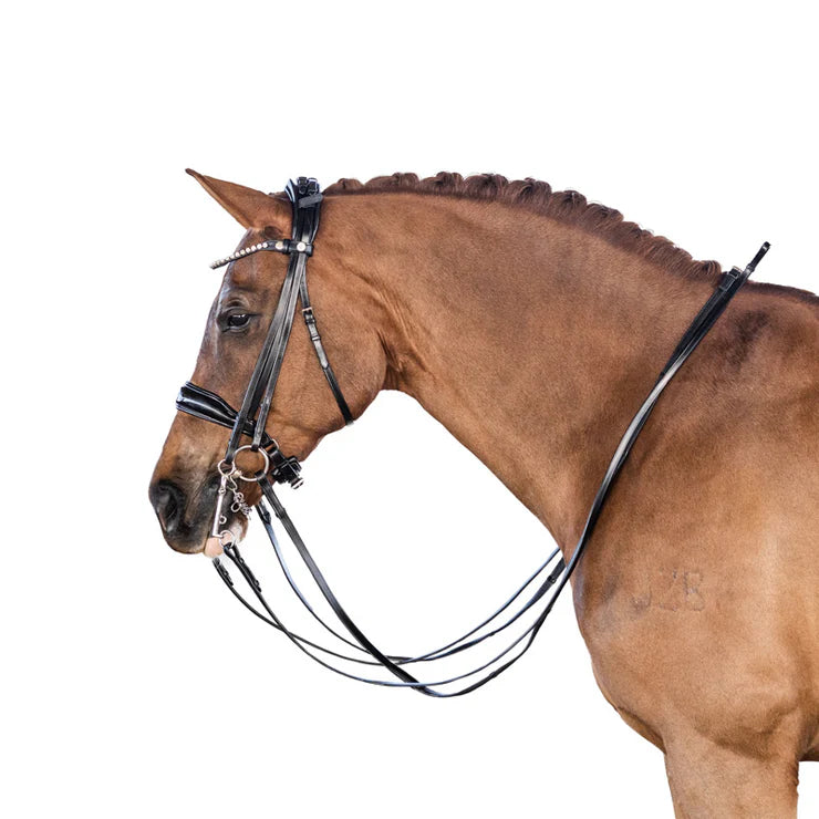 Lara Tweedie AntiGravity Glam Double Bridle
