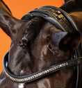 Load image into Gallery viewer, BROWBAND 2I | BLACK | BLACK DIAMOND 6 MM, EMBEDDED
