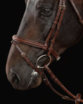 Load image into Gallery viewer, Close-up of a horse's head wearing a brown bridle on a black background
